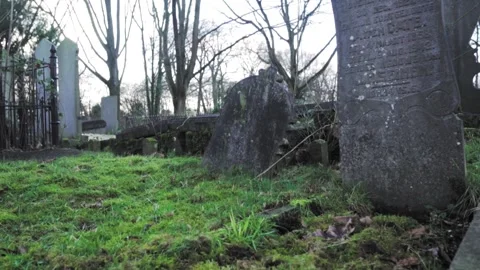 Camera pans over ancient gravestones in a cemetery Stock Footage 292924508