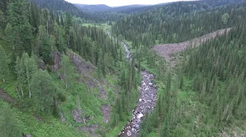 The camera pans over the boreal forest, river stones (quadrocopter) Video stock 65935923