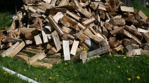 Camera Pans over a pile of Logs Stock Footage 308836153