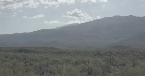 Camera Pans on Saguaro Desert with Cacti and Mountain Range Video stock 134340933