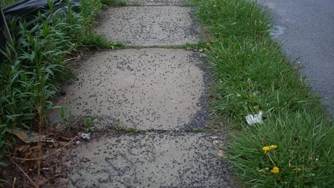 Camera pans up a sidewalk in need or repairs on gloomy day Stock Footage 89737194