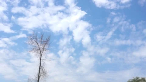 Camera pans sky through treetops with clouds and sunlight Stock Footage 312758387
