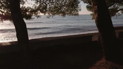 The camera pans slowly forward through the trees towards the coast Stock Footage 226994206