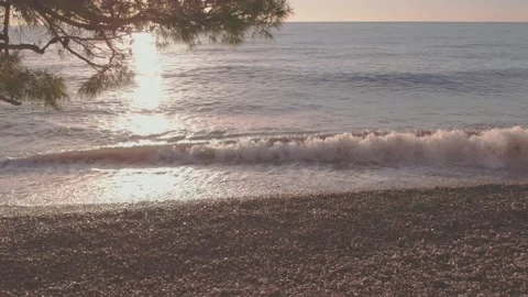 The camera pans slowly to the left under the tree branches Stock Footage 226996743