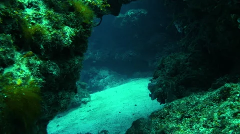 Camera pass through dark coral cavern Stock Footage 68851728