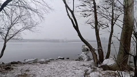 Camera passage under the branches of trees to the river and the rocks that sweep Stock Footage 100690948