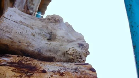 The camera peeks out from behind the mountain of firewood. Stock Footage 77689676