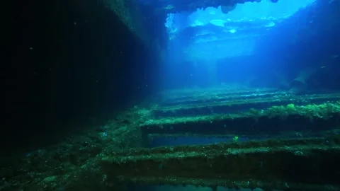 The camera plunges us into the wreck of a ship. Video stock 325733452