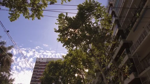 Camera POV flying drone driving low angle over street trees and buildings. Stock Footage 105688919