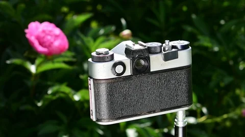 Camera prepared for photographing Stock Footage 110845415