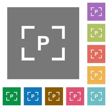 Camera program mode square flat icons 스톡 일러스트