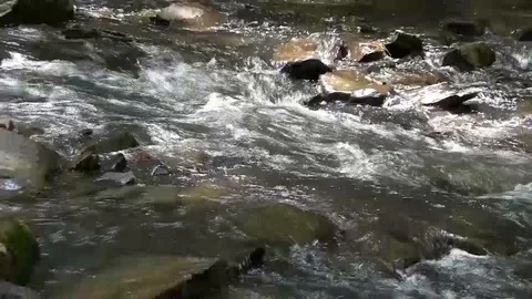 Camera pull from babbling brook Stock Footage 91903751