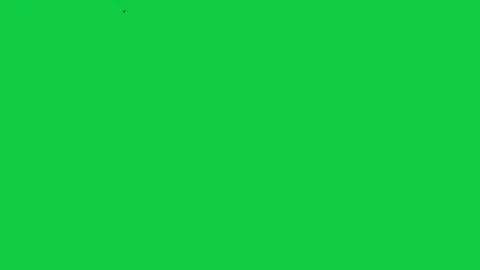 Camera pulling back coins sliding out then returning and settling to reveal Stock Footage 337887587