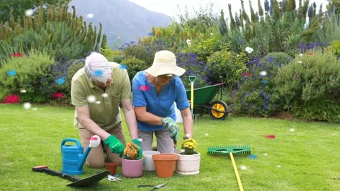 Camera pulling back pair kneeling in garden potting flowers specks floating over Vídeo Stock 333873759