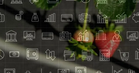 Camera pulling focus, strawberry cluster moving into clear view for promo with Stock Footage 330160448