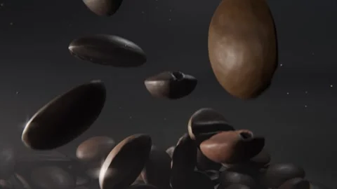 Camera pulling, roasted coffee beans lifting and rotating in studio, top light 스톡 동영상 337505082
