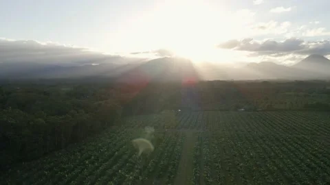 Camera pulls back over farming fields with golden run rays beaming onto Stock Footage 169023924