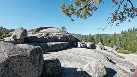 Camera pulls back over large granite rocks surrounded by pine trees Stock Footage 346272099