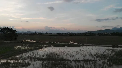 The camera is pursued by a biker on the fields flooded with water in Vietnam Video stock 100188852