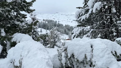 Camera Pushes in Over Fresh Snow and Past Trees to the View of a Ski Slope Stock Footage 265780660