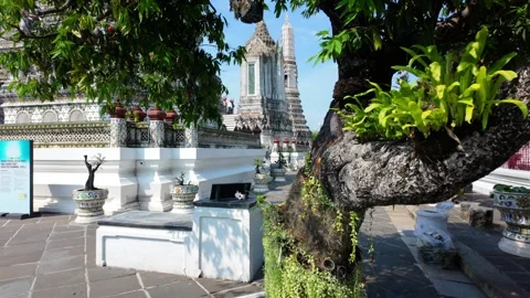 Camera pushes through tree to reveal Wat Arun Stock Footage 319988466