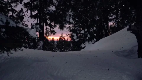 Camera Pushes In Through Trees At Sunset In Crater Lake National Park, Oregon Stock-Footage 73497743