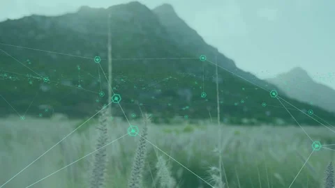 Camera pushing forward, grasses and hillside showing teal nodes clustering, Video stock 334352105