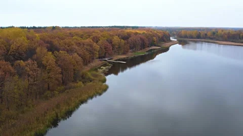 The camera quickly flies along the shore of the lake along which there are yello Stock Footage 163587933