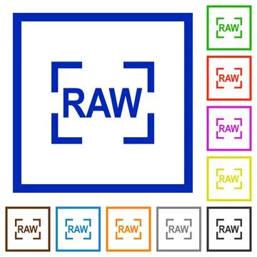 Camera raw image mode flat framed icons Illustrazione stock