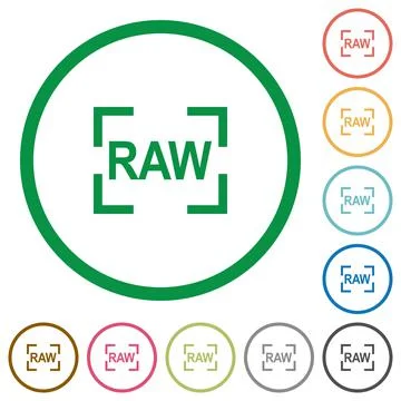 Camera raw image mode flat icons with outlines Stock Illustration