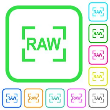 Camera raw image mode vivid colored flat icons Stockillustratie