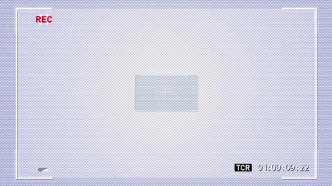 Camera Rec Screen with scanlines Stock-Footage 233735955