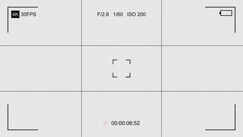 Camera Recorder Screen Overlay with Rule of Thirds Grid, Alpha Channel on T.. Stock Footage 333622949