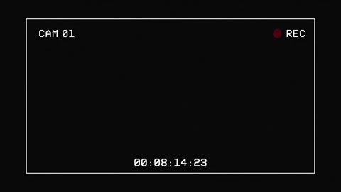 Camera Recording Frame Overlay with REC Indicator and Timecode Animation 動画素材 342698810