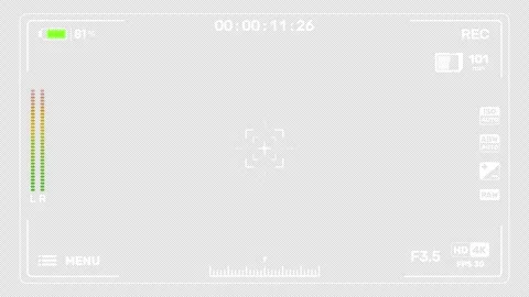 Camera Recording Screen Interface Stock Footage 263234036