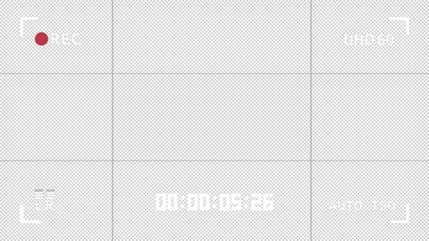 Camera Recording Screen Overlay Stock Footage 311945296