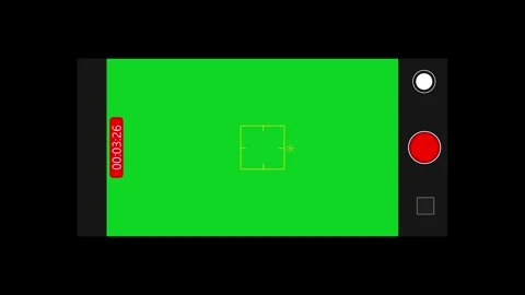Camera Recording Screen Overlay Surveillance CCTV monitoring screen Alpha Video stock 295174028