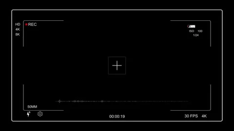 Camera Recording Screen Overlay Surveillance CCTV monitoring screen Alpha Video stock 295174041