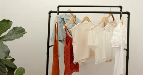 Camera is recording, showing rack with garments beside fiddle leaf fig plant for Stock Footage 317839244