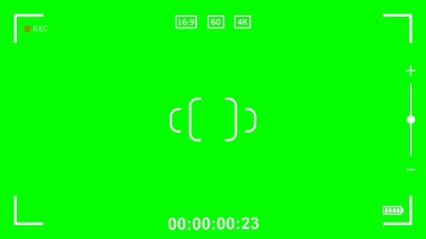 Camera Recording Viewfinder with green screen Stock Footage 127423054