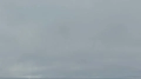 Camera reveals Penguins on a beach Stock Footage 11959223