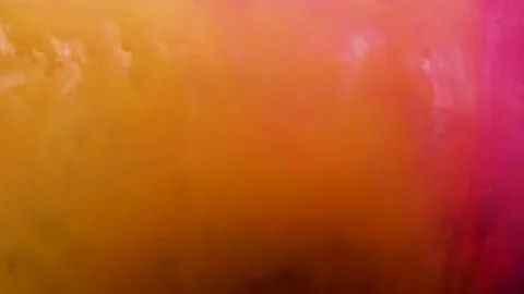 Camera revolves around a blue chrysanthemum flower yellow, orange, pink colors Stock Footage 154712073