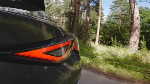 The camera is rigidly mounted on the body of a car moving in the forest Stock Footage 280224749