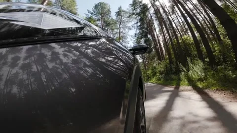 The camera is rigidly mounted on the body of a car moving in the forest Stock Footage 280224752
