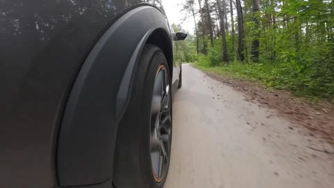 The camera is rigidly mounted on the body of a car moving in the forest Stock Footage 280224755