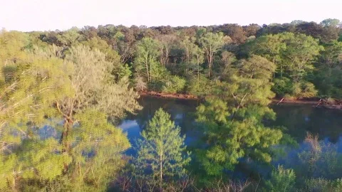 Camera rise above trees see River. Stock Footage 129062671