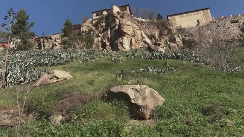 Camera rise over agave covered hillside along Toledo's Tagus Ecological Trail Stock Footage 338035744