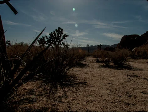 Camera rise sunset 4K Stock-Footage 32689656