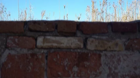 Camera rises along the destroyed brick wall to a window with broken glass Video stock 124337360