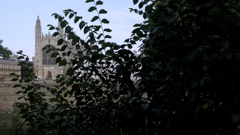 Camera rises behind trees to reveal The chapel of Kings College Stock Footage 99337072